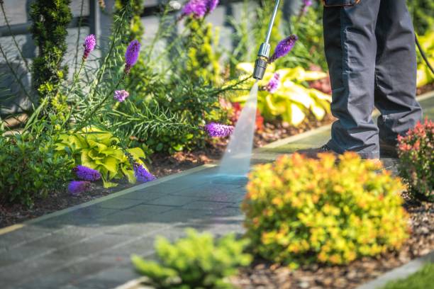 Reliable Covington, KY Pressure Washing Services Solutions